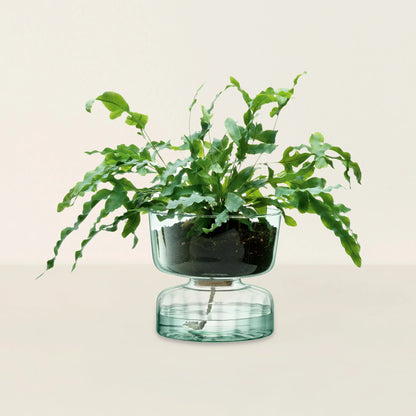 Marley Self Watering Planter
