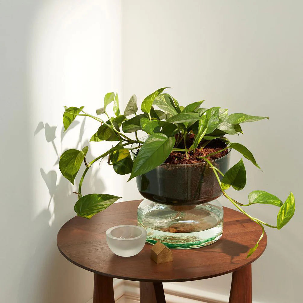 Marley Self Watering Planter