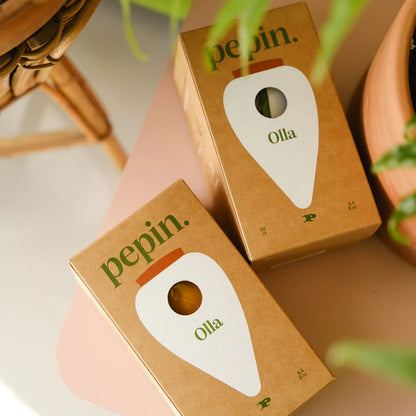 Olla Self-Watering Pot - Raw